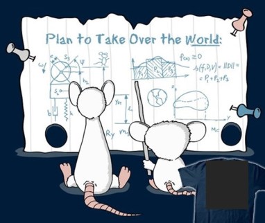 take over the world pinky and brain 2